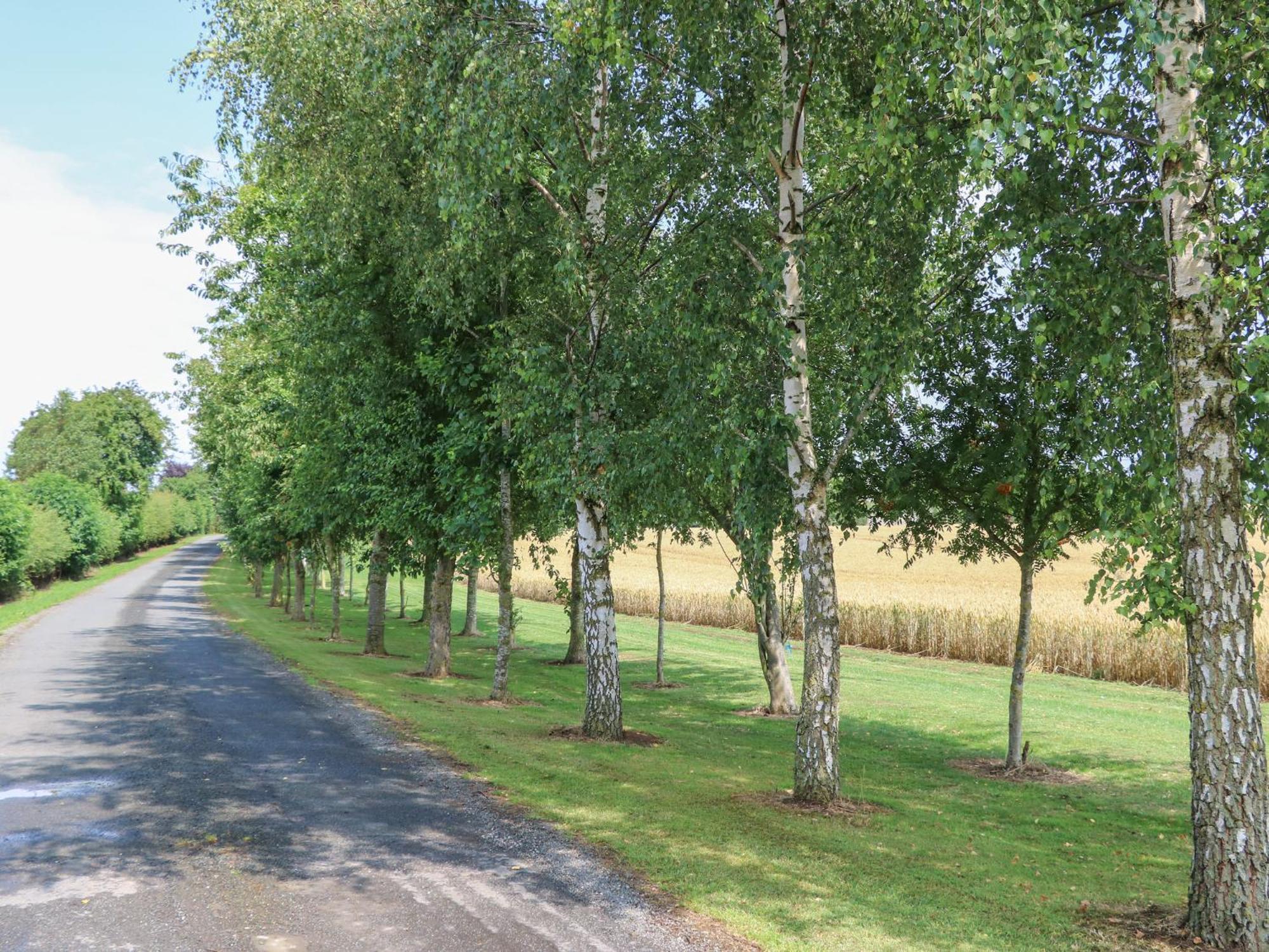 Cornfield Villa Northallerton Ngoại thất bức ảnh